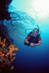 Dad in Palancar, Cozumel!

Great is to shoot your own d... by Erich Reboucas 